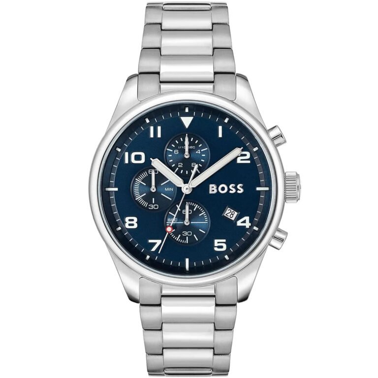 Hugo Boss View Chronograph Blue Dial Silver Steel Strap Watch For Men - 1513989